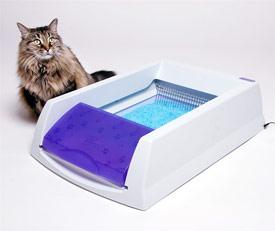 The Litterbox Chronicles: Scoop Free Litter Box Review | Pawcurious: With Pet Lifestyle Expert and Veterinarian Dr. V.